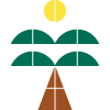 coco 椰林